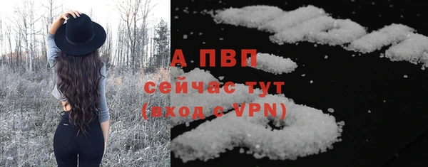 стафф Алексин