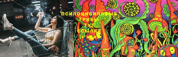 сатива Алзамай