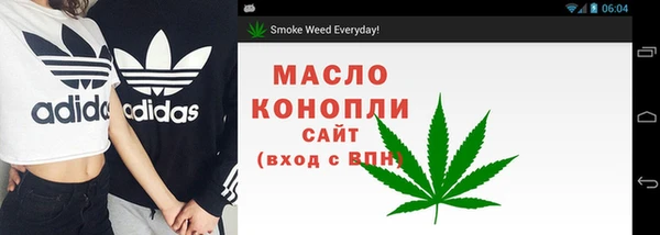 сатива Алзамай