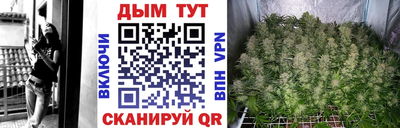 Каннабис OG Kush  где найти   Камызяк 